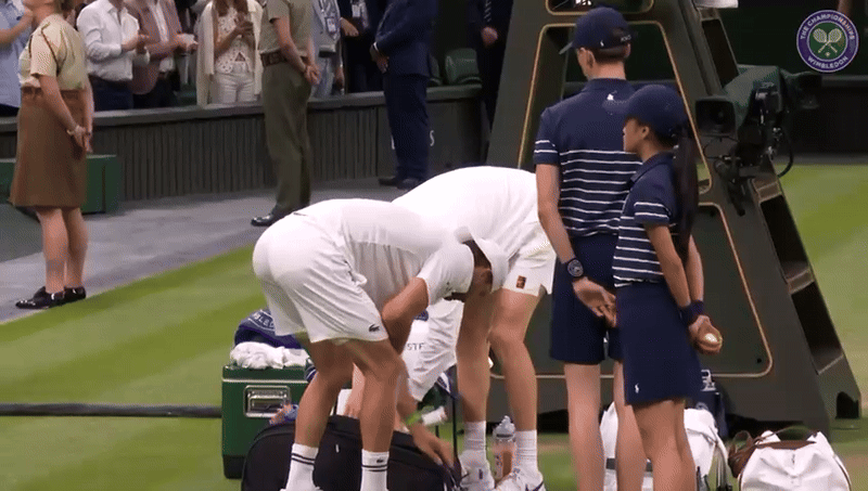 Jannik Sinner helps Dimitrov after injury