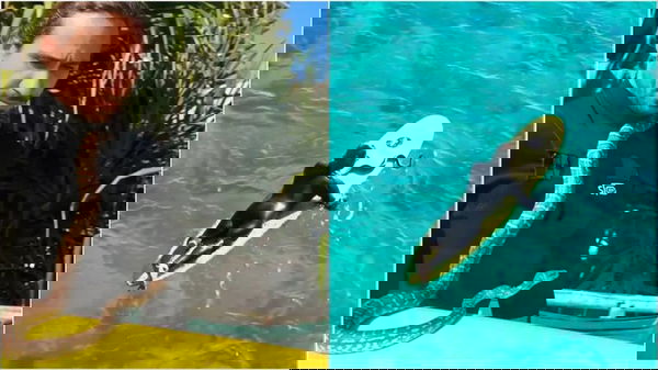 feature-image