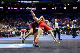 Wrestling
