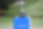 Wyndham Championship trophy
