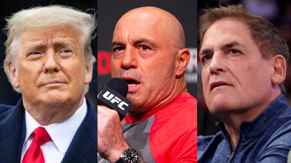 Donald Trump; Joe Rogan; Mark Cuban