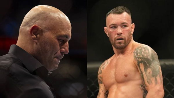 Joe Rogan; Colby Covington