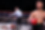 Zuffa Boxing