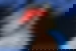 article-image