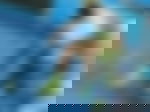 article-image