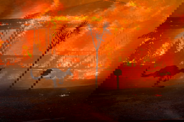 feature-image
