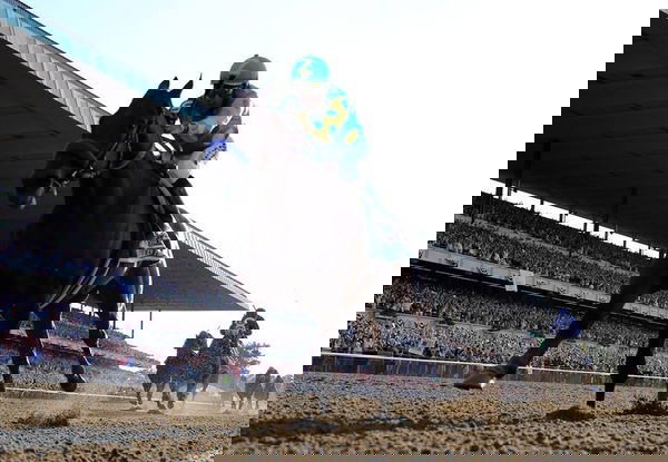feature-image