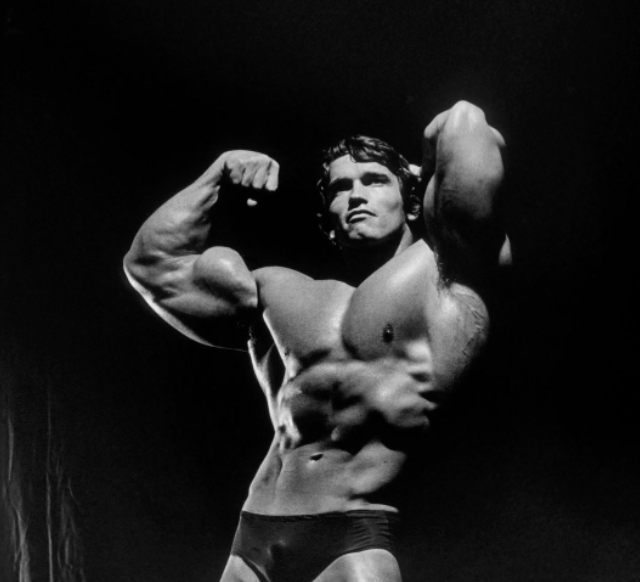 Columbus, Ohio, USA - TAREK ELSETOUHI poses during the 2010 Arnold Classic  Bodybuilding