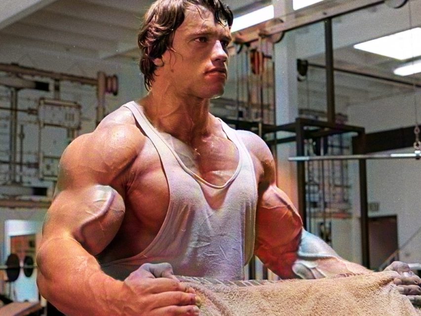 Bodybuilder Challenges Legend Arnold Schwarzenegger's Popular