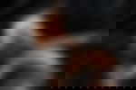article-image