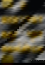 article-image