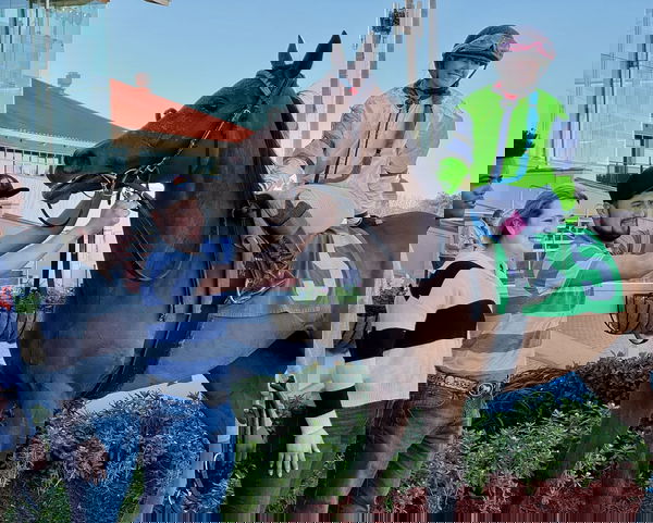 feature-image