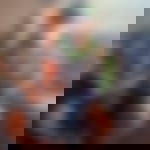 article-image