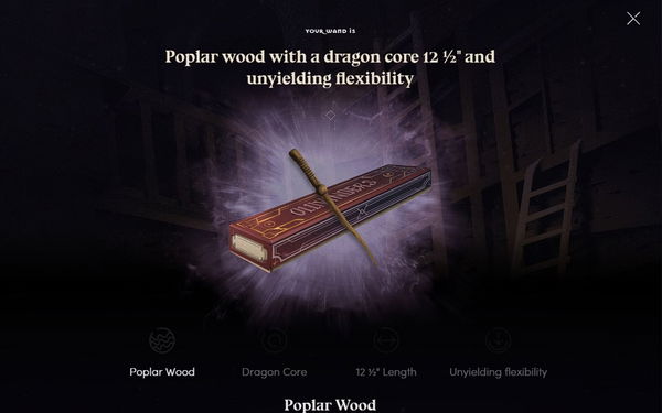 article-image