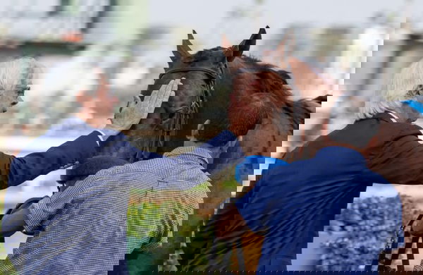 feature-image