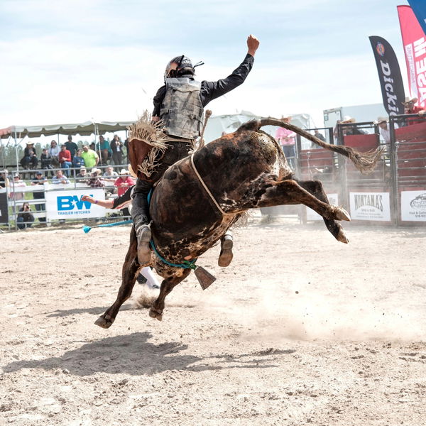 Bull Riding