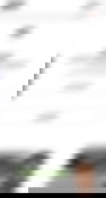 article-image