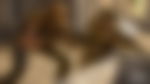 article-image