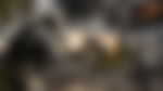 article-image