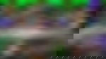 article-image
