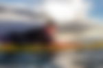 article-image
