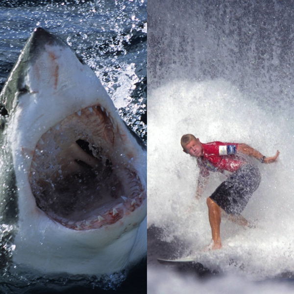 “I Still Love Sharks”: Despite a Near-Death Experience, 3x WSL Champ ...