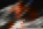 article-image