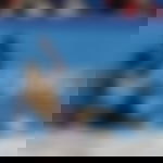 article-image