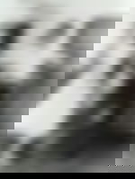 article-image