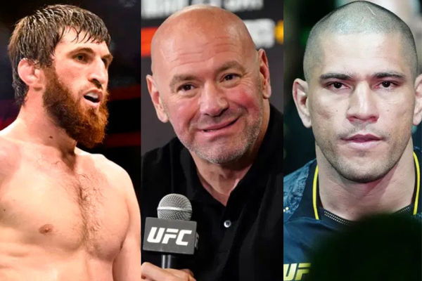 Dana White-Magomed Ankalaev-Alex Pereira