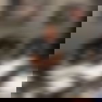 article-image