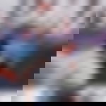 article-image