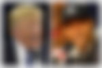 article-image