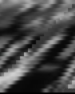 Image for Prayers Pour In After 20-YO College Football Athlete Tragically Dies