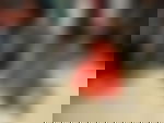 article-image