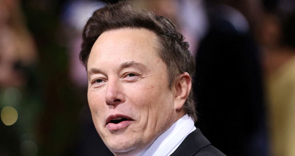 Twitter Owner Elon Musk Is Now A Fallout: New Vegas Bad Guy