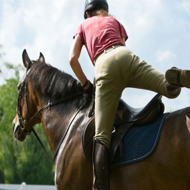 “I’ve Got My Lawyers Looking at It” Rider of King Charles’ Horse