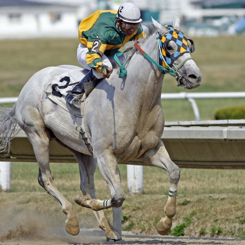 After Majestic Grade 1 Victory, Equestrian World Witnesses the