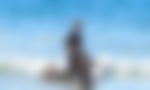 article-image
