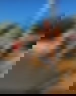 article-image