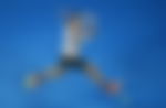 article-image
