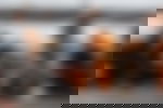 article-image