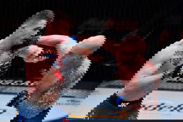 UFC 255: Cosce v Palatnikov