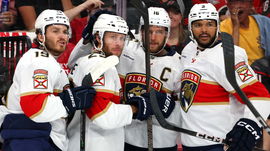florida panthers