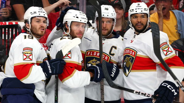 florida panthers
