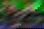 article-image