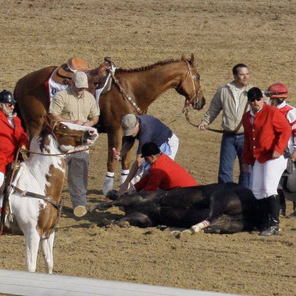  GEN - Belle's injury is a tragedy -- really