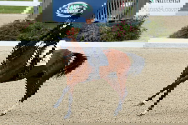 feature-image