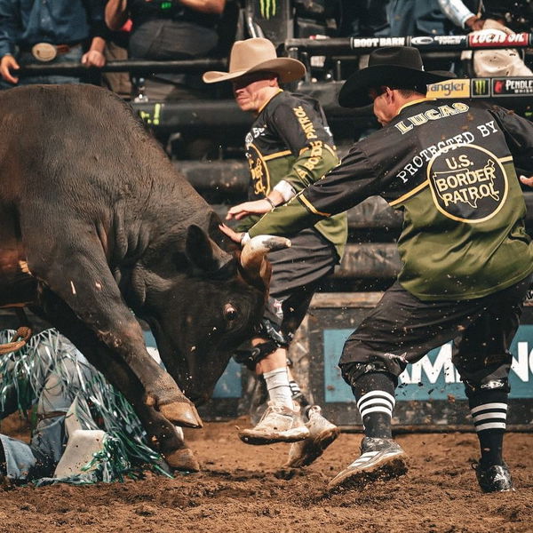 PBR bullfighters