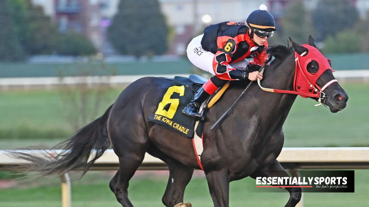 Tragédia nas corridas de cavalos: Falha na indústria causa revolta na tribo de Tyler 2 image 1920x1080 2024 05 03T075037.219 1